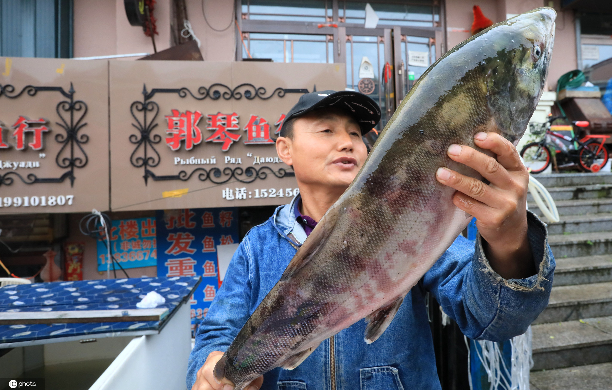 黑龙江抚远的大马哈鱼回来了02比往年早10天个头大了三四斤