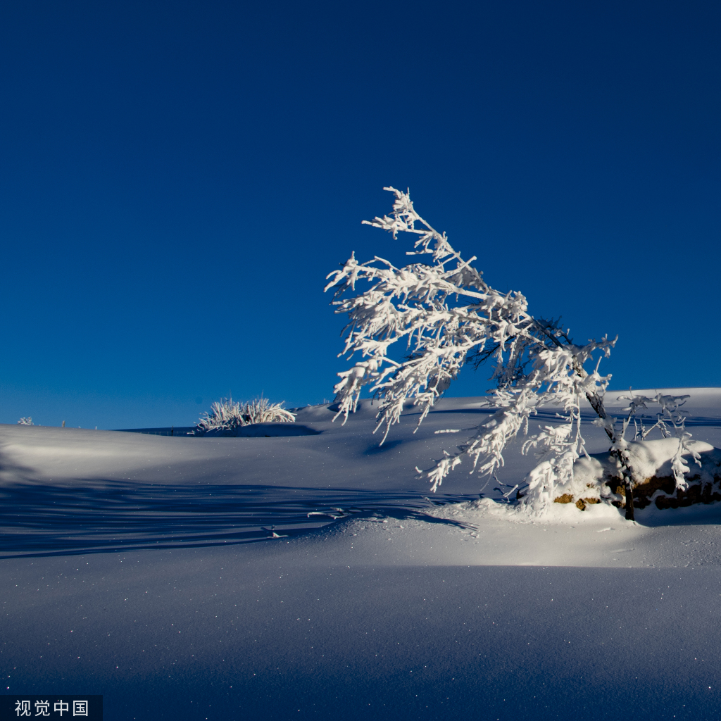 新疆昌吉雪景图片图片