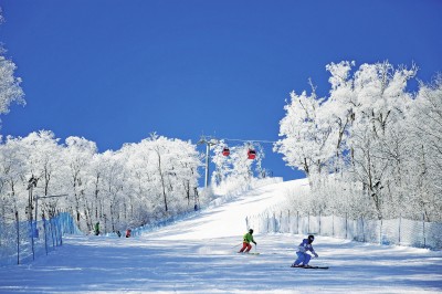 游客在吉林长白山万达国际度假区滑雪场滑雪 光明图片