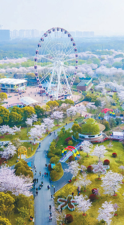 28日,上海樱花节女子10公里精英赛在上海宝山区顾村公园开跑