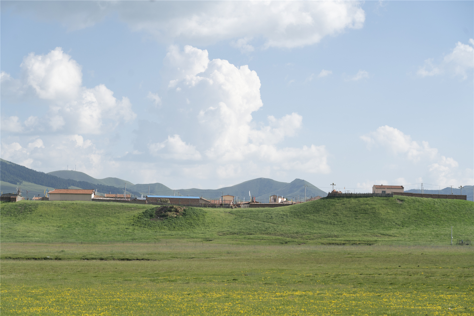 四川若尔盖大草原迎来最美丽的季节
